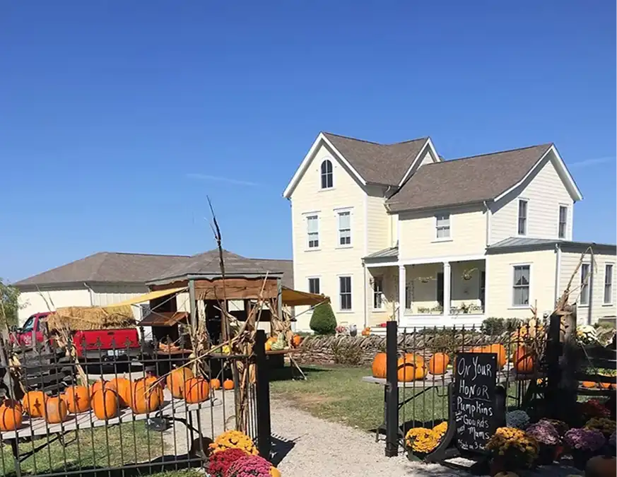A charming yellow farmhouse surrounded by a pumpkin patch